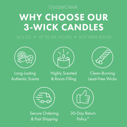 Bamboo Grove 3-Wick Candle