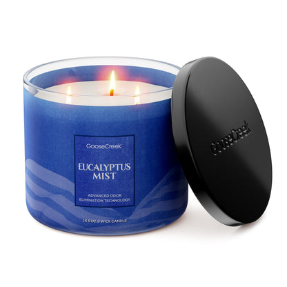 Eucalyptus Mist Odor Eliminating 3-Wick Candle