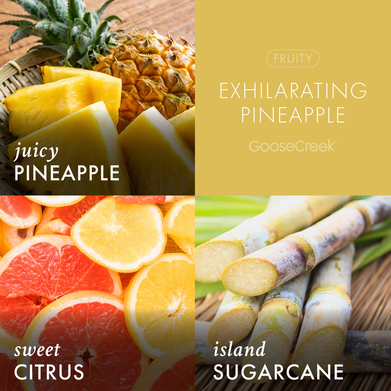 Exhilarating Pineapple Wax Melt