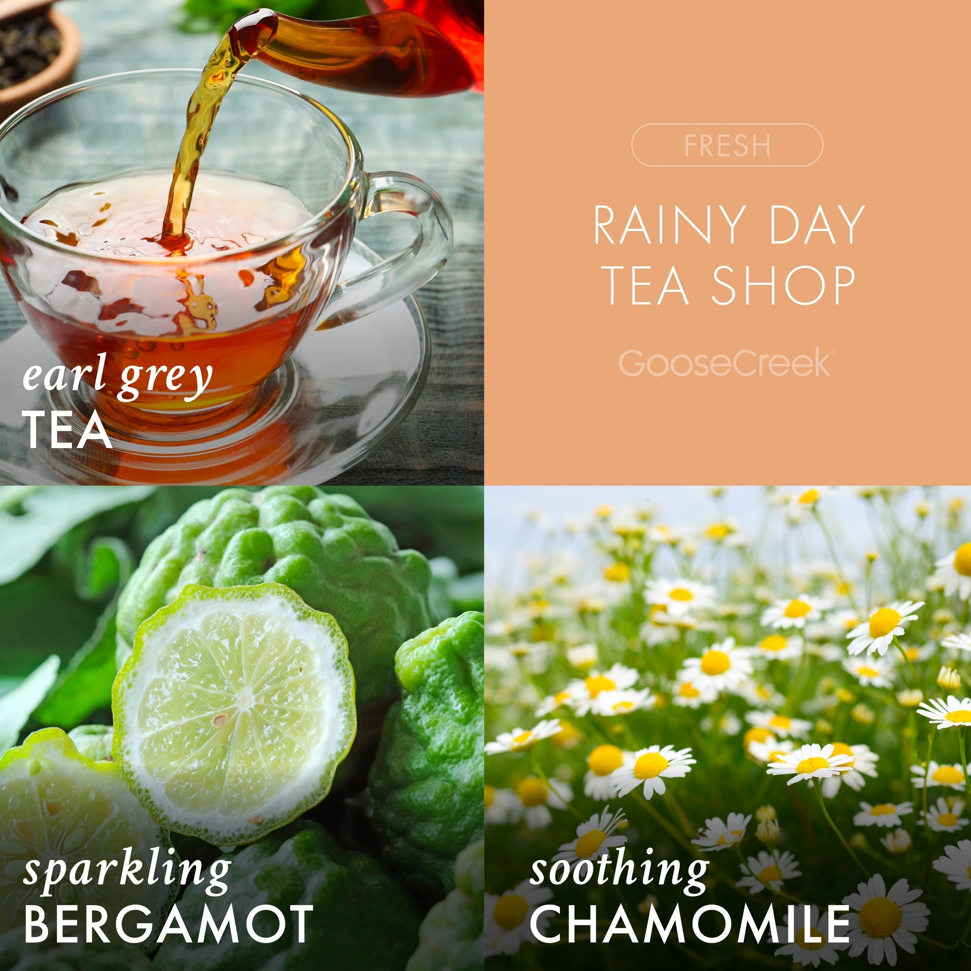 Rainy Day Tea Shop 3-Wick Candle