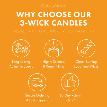 Tangerine Coast 3-Wick Candle